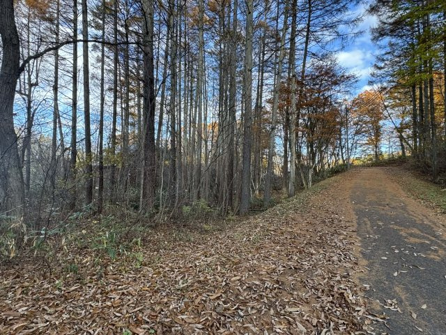 飯綱町　別荘・アウトドア用地の前面道路含む現地写真