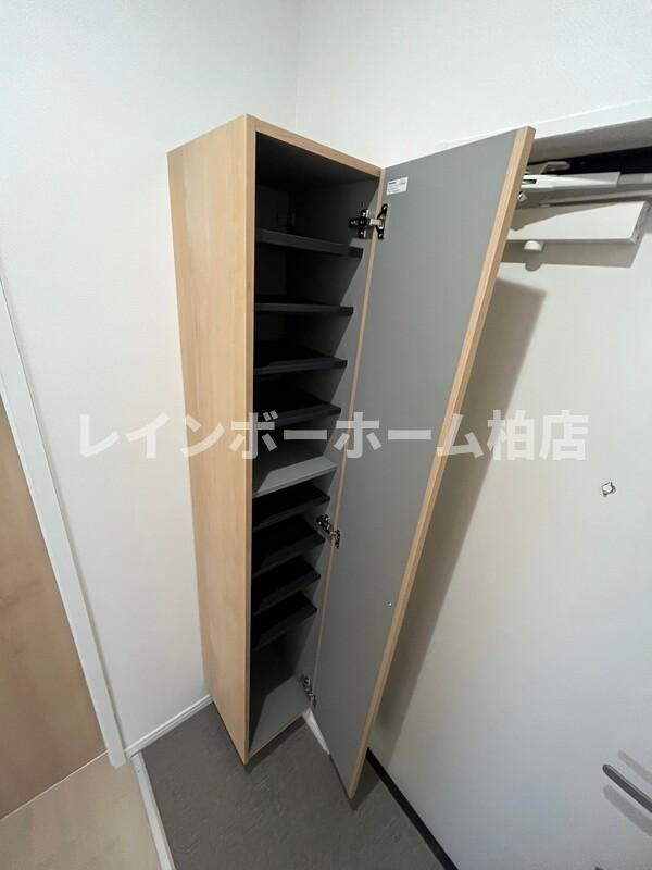 特典：仲介手数料が無料です!!の玄関|明るい玄関です