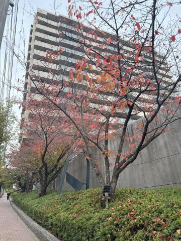 グレーシィ須磨アルテピアⅠ番街のその他