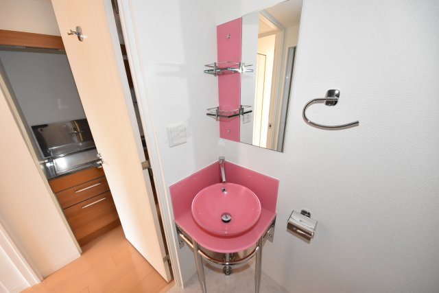 アフルエンス難波の洗面所