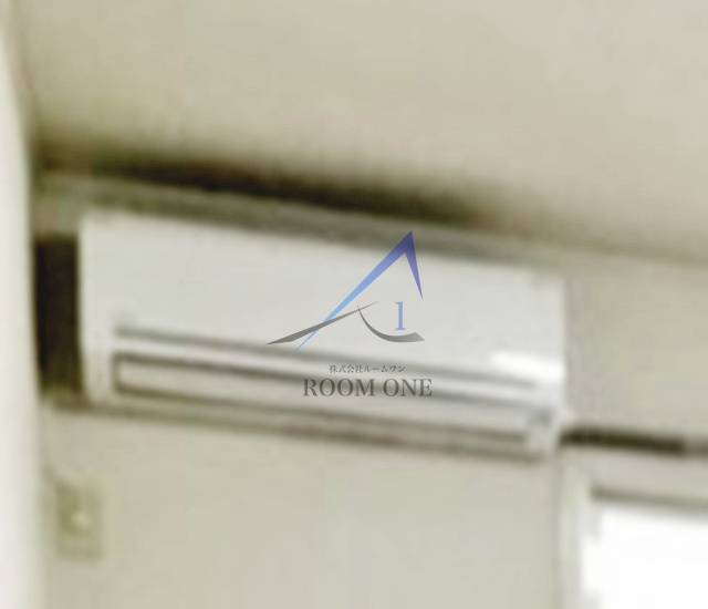 カサアスールのその他