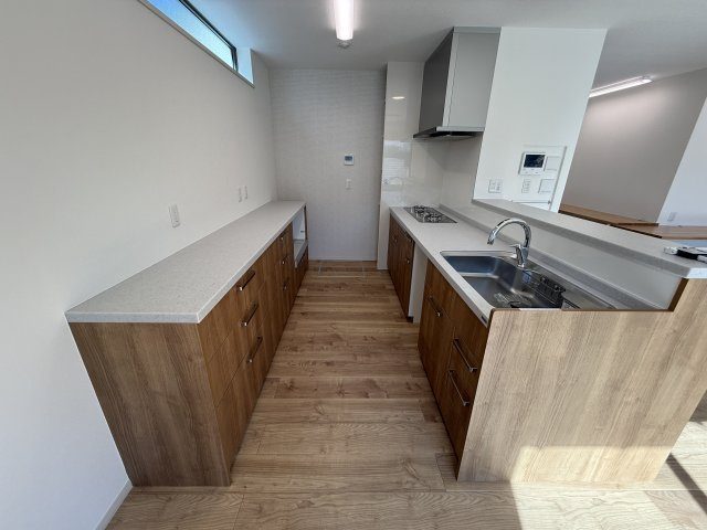 豊中市岡町南戸建のキッチン