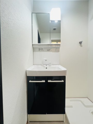 サウスヒルズⅡの洗面所