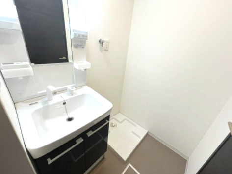 ジーメゾン守口藤田の洗面所