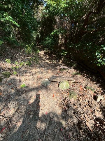 南房総市合戸　売地のその他