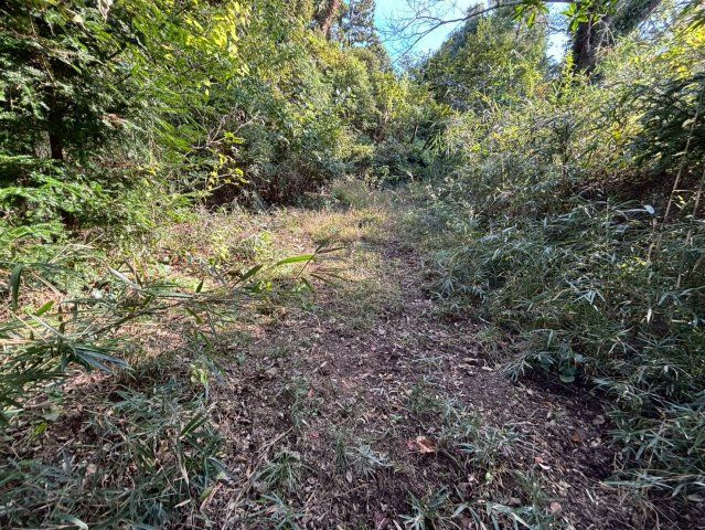 南房総市合戸　売地のその他