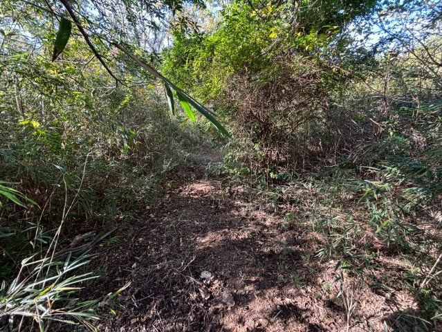 南房総市合戸　売地のその他