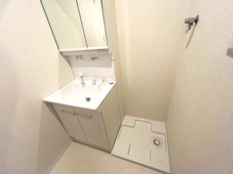 L-BASE藤田町の洗面所