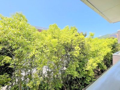 【展望】 | Fiore