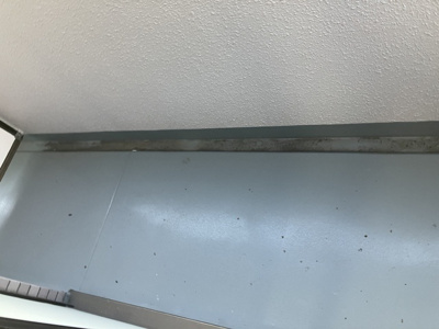 【バルコニー】 | フォレスト駒沢