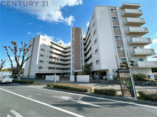 コープ甲子園の画像