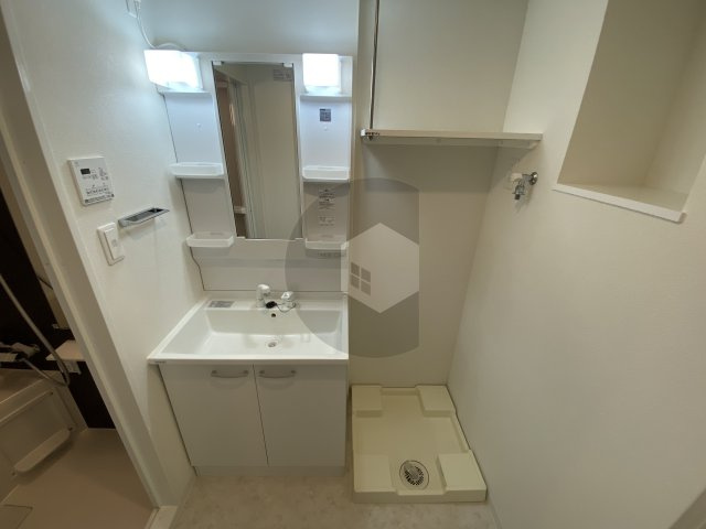 Alivis緑橋の洗面所