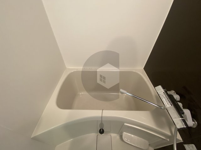 Alivis緑橋の浴室