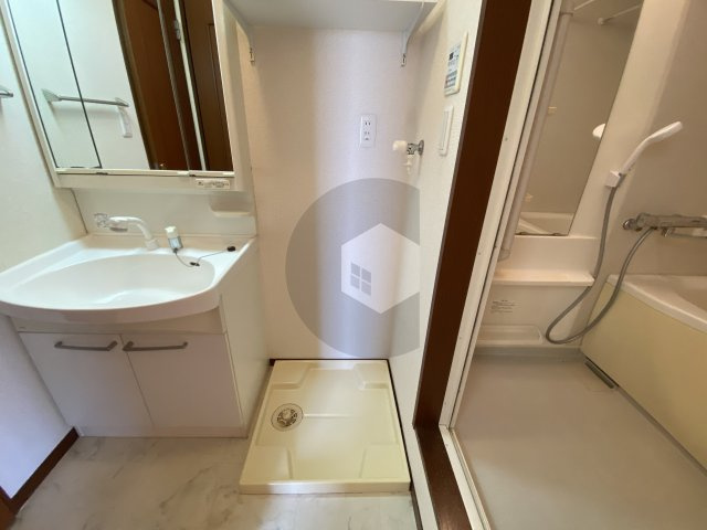 ドゥ・リュエルBのその他