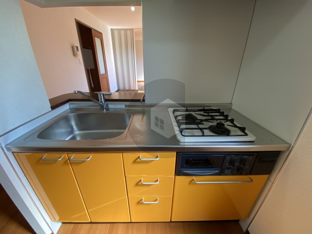 ドゥ・リュエルBのキッチン