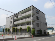 メゾンドエルＧＥの画像