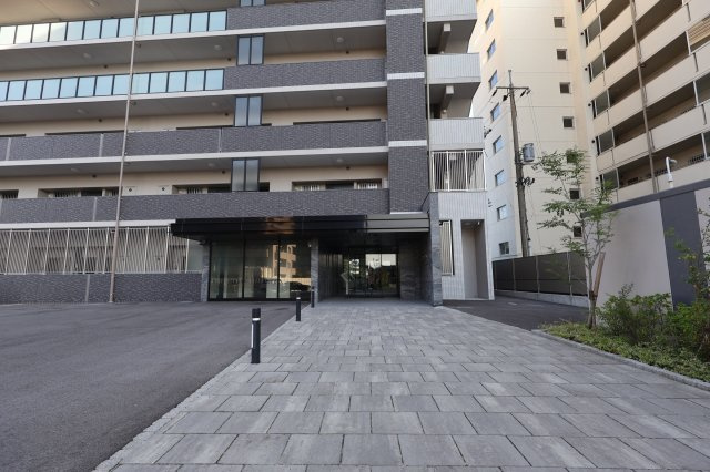 アルファステイツ米原