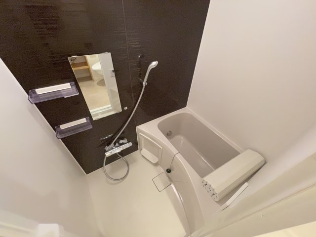 アピチェ池上の浴室