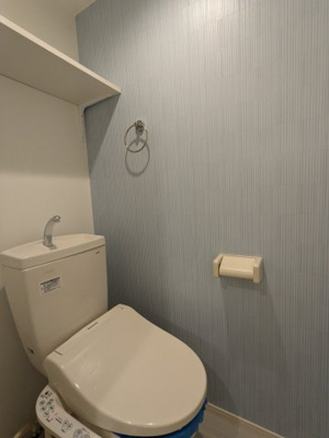 【トイレ】 | ハーモニーテラス川名町Ⅱ | 102号室