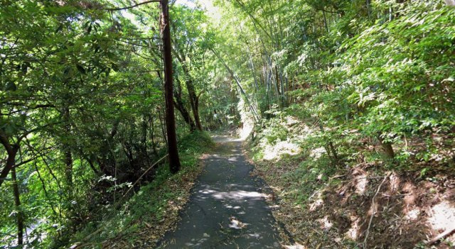 道の駅近く、広がるオーシャンビュー☆6万平米超の広大な土地の周辺