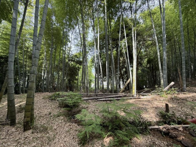 道の駅近く、広がるオーシャンビュー☆6万平米超の広大な土地のその他