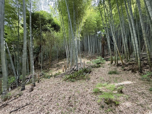 道の駅近く、広がるオーシャンビュー☆6万平米超の広大な土地のその他