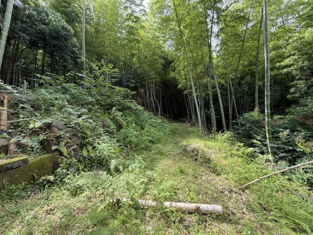 道の駅近く、広がるオーシャンビュー☆6万平米超の広大な土地のその他