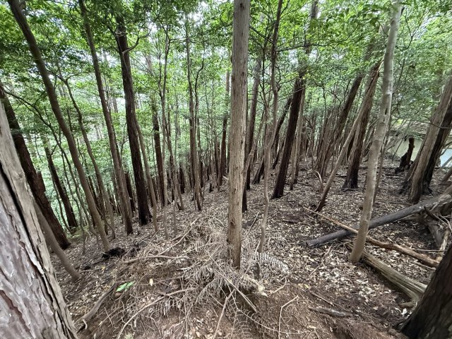 道の駅近く、広がるオーシャンビュー☆6万平米超の広大な土地のその他
