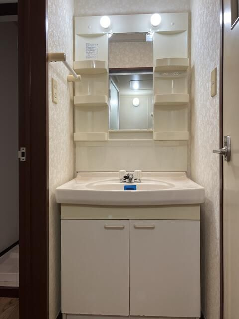 グランドメゾンオオツカの洗面所