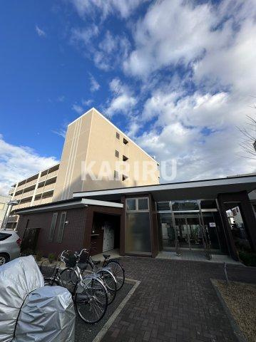 グレイスパルコート