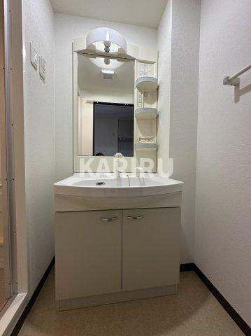 グレイスパルコートの洗面所