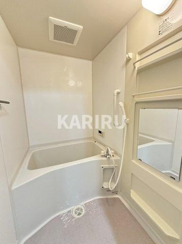 グレイスパルコートの浴室