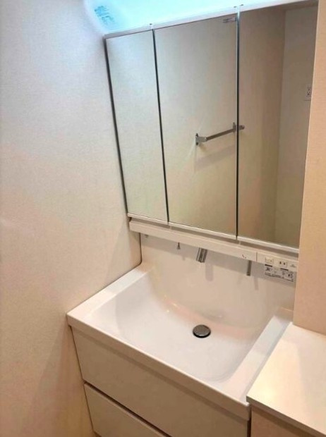 墨田区亀沢４丁目の賃貸マンションの洗面所