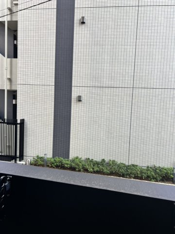 ザ・ライオンズフォーシア文京湯島の展望