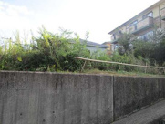 広島市東区中山西２丁目 ライブヒルズ未来の画像