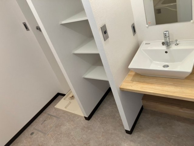 アルファ八田の洗面所