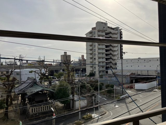 アルファ八田の展望