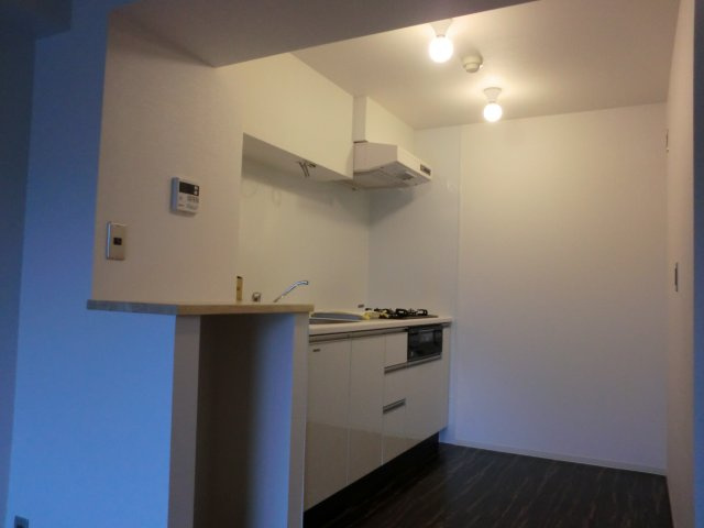 アルファ八田のキッチン