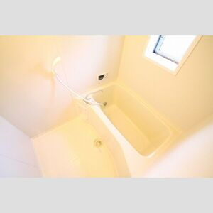 プレジョイアの浴室