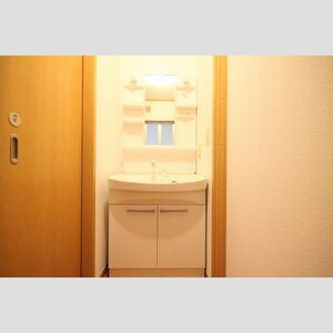 プレジョイアの洗面所