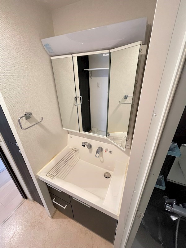 エステムプラザ神戸大開通ルミナスの洗面所