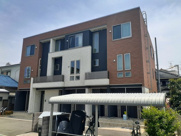 カメリア　サザンカの画像