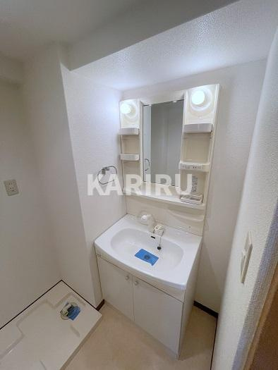 グランドールハタダビルディングIの洗面所