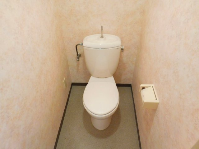高槻市芝生町１丁目の賃貸マンションのトイレ