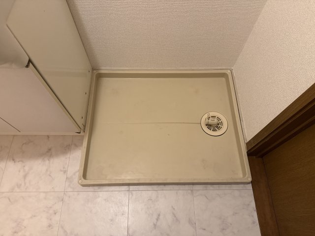 ミニョンラシーヌのその他