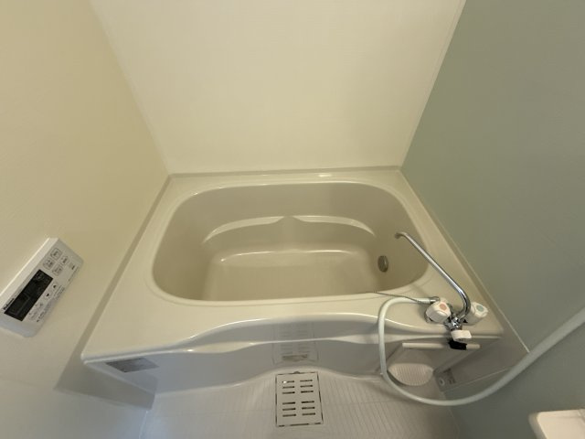 グラン　ルーチェⅡの浴室