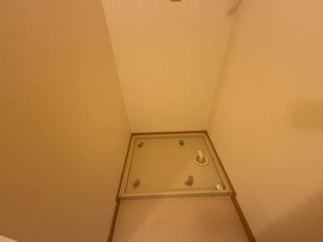 サニー・カーサＭのその他