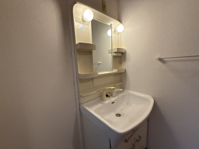 フェリア糸井Ｃの洗面所