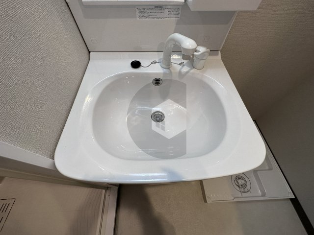 ラックフィールドの洗面所