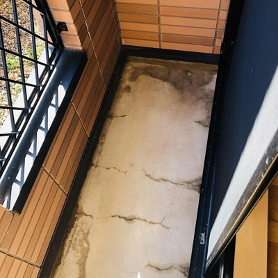 【バルコニー】 | Ａｚｕｒｅ柴又 | その他部屋 